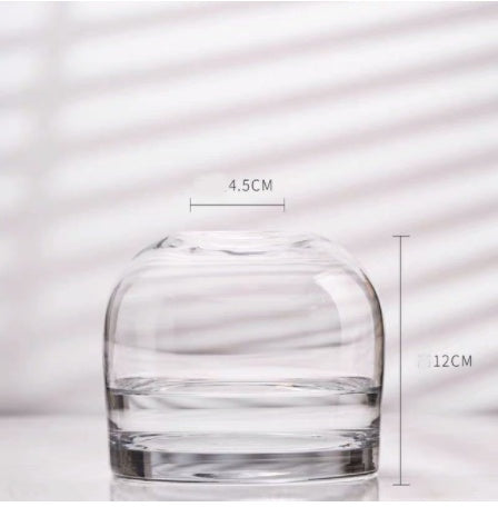 Minimalist Clear Glass Vase