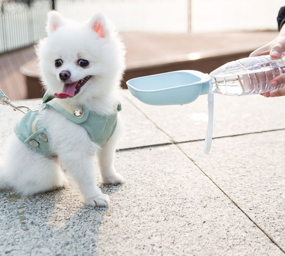 Teddy Portable Pet Water Bottle