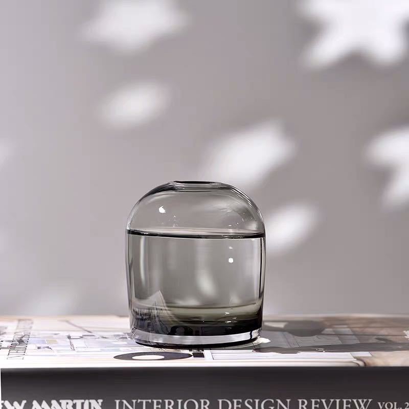 Minimalist Clear Glass Vase