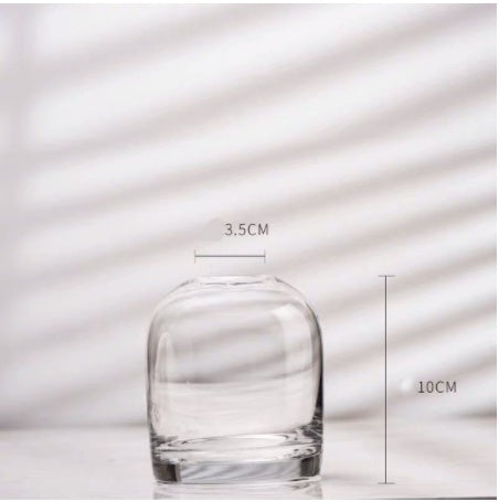 Minimalist Clear Glass Vase