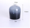 Minimalist Clear Glass Vase
