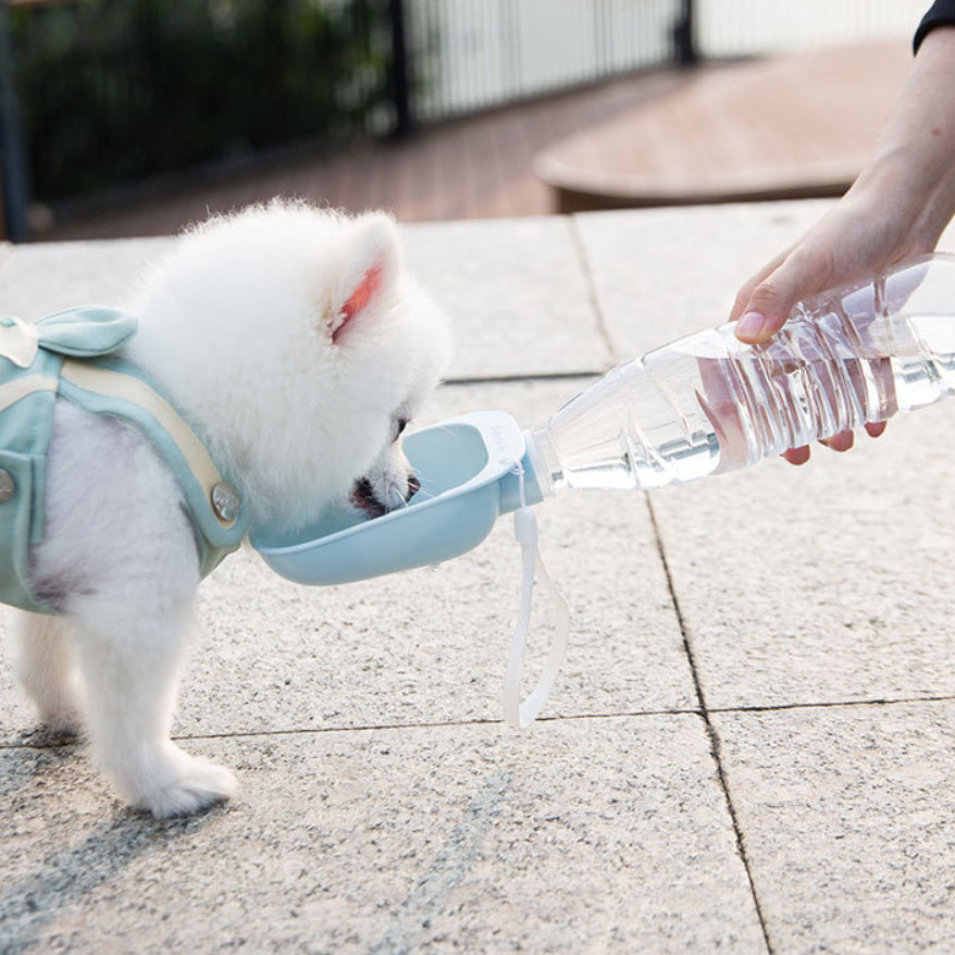 Teddy Portable Pet Water Bottle