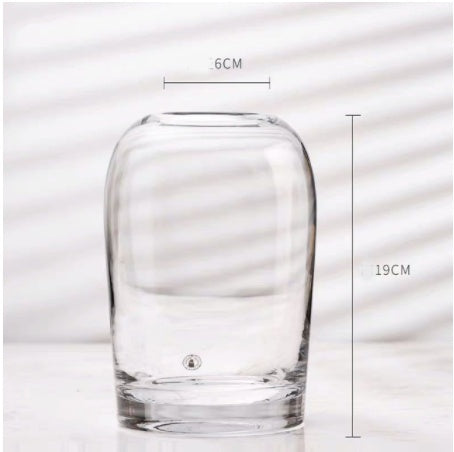 Minimalist Clear Glass Vase